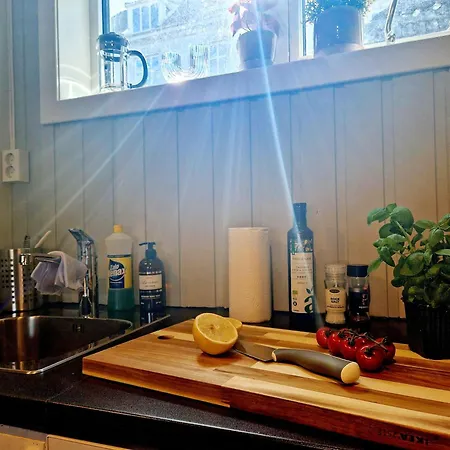 Historic Townhouse - 2 Baths 3 Floors 100 Percent Charm *